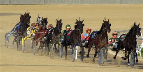 horse race tracks running today.